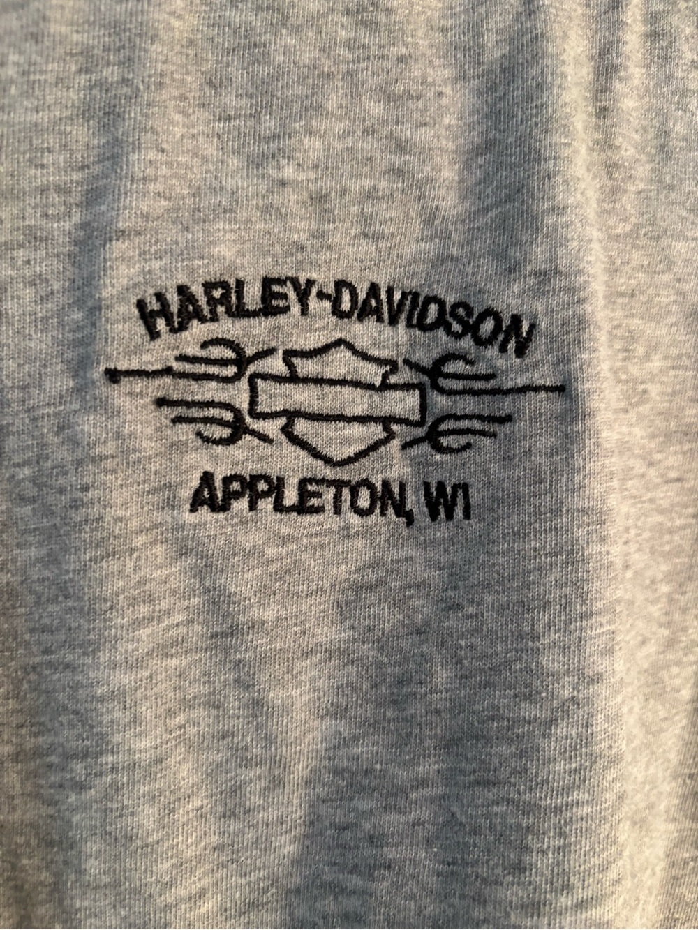 Harley-Davidson Appleton Wisconsin Gray Long-sleeve T-Shirt - Picture 6 of 7